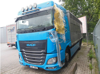 Djurtransport lastbil DAF XF 106 460