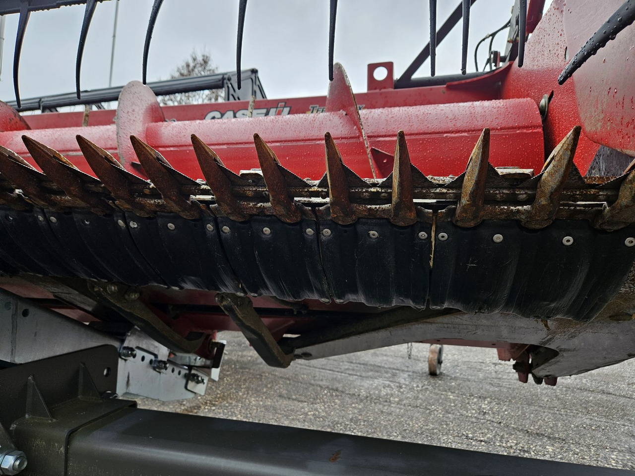 Skärbord Case IH 3020 20Ft: bild 6