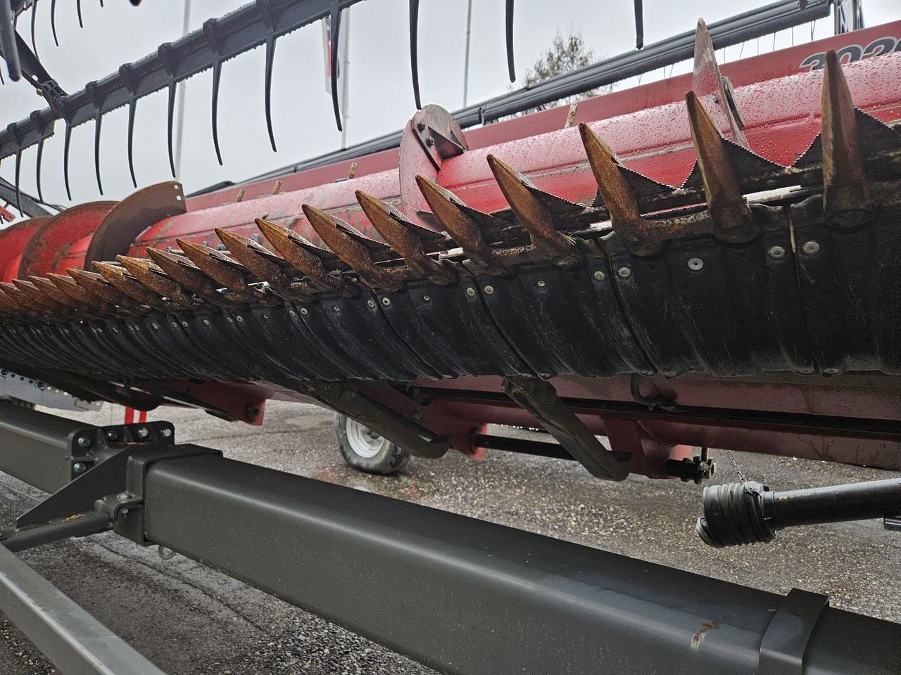 Skärbord Case IH 3020 20Ft: bild 7